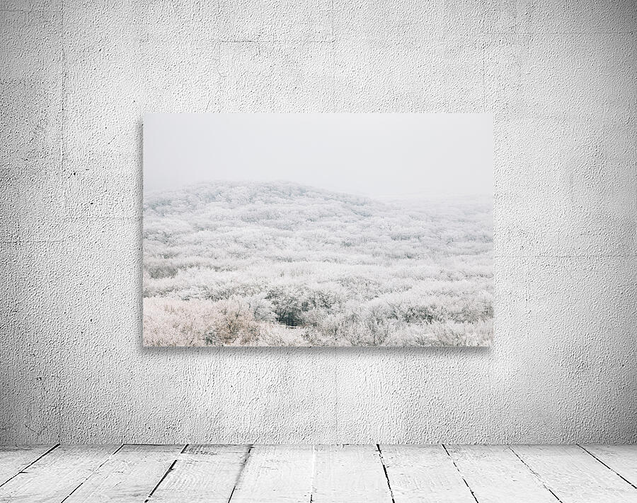 Jeju island winter mountain Wall Preview