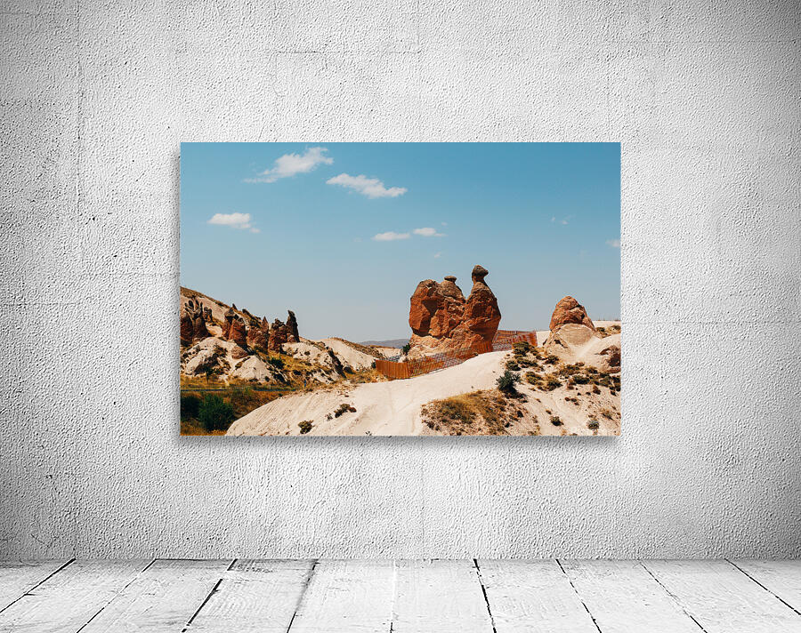 Cappadocia camel rock Wall Preview