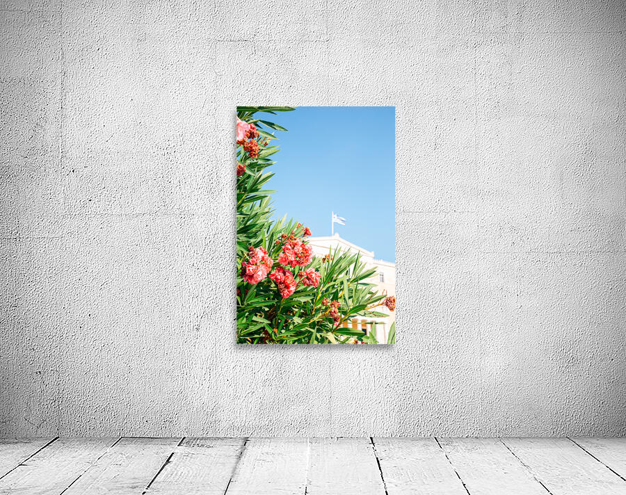 Greek Parliament Wall Preview