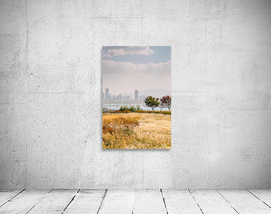Seoul autumn scenery Wall Preview