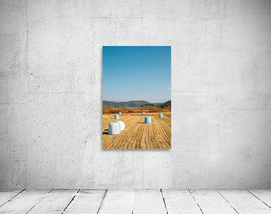 Autumn paddy field Wall Preview