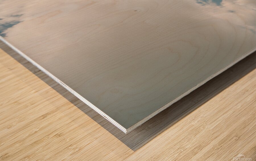 Autumn reeds Wood print