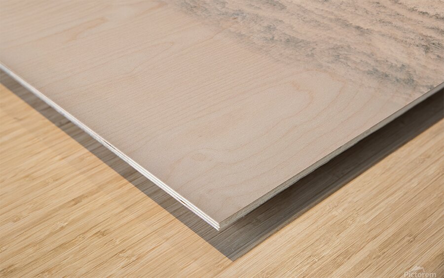 Jeju island winter mountain Wood print