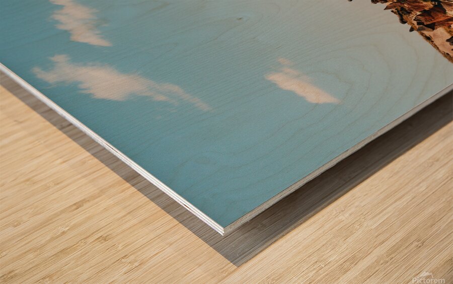 Cappadocia camel rock Wood print