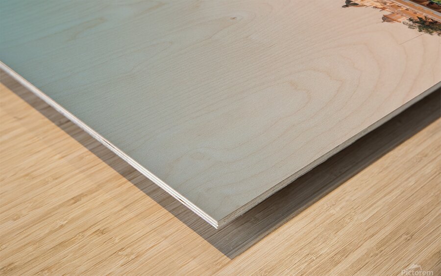 Mysore Palace in India Wood print