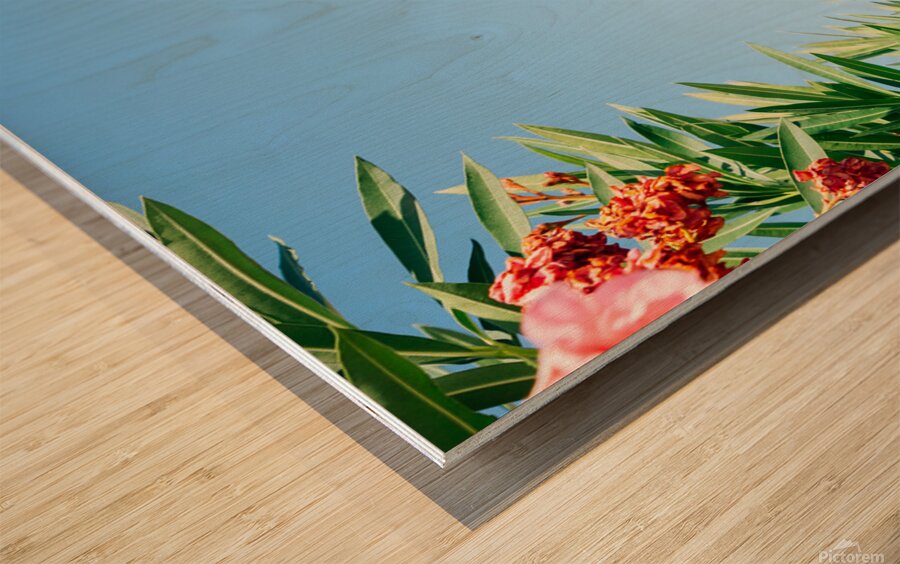 Greek Parliament Wood print