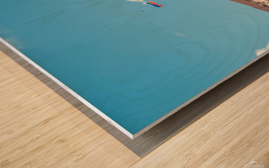 Ljubljana castle Wood print