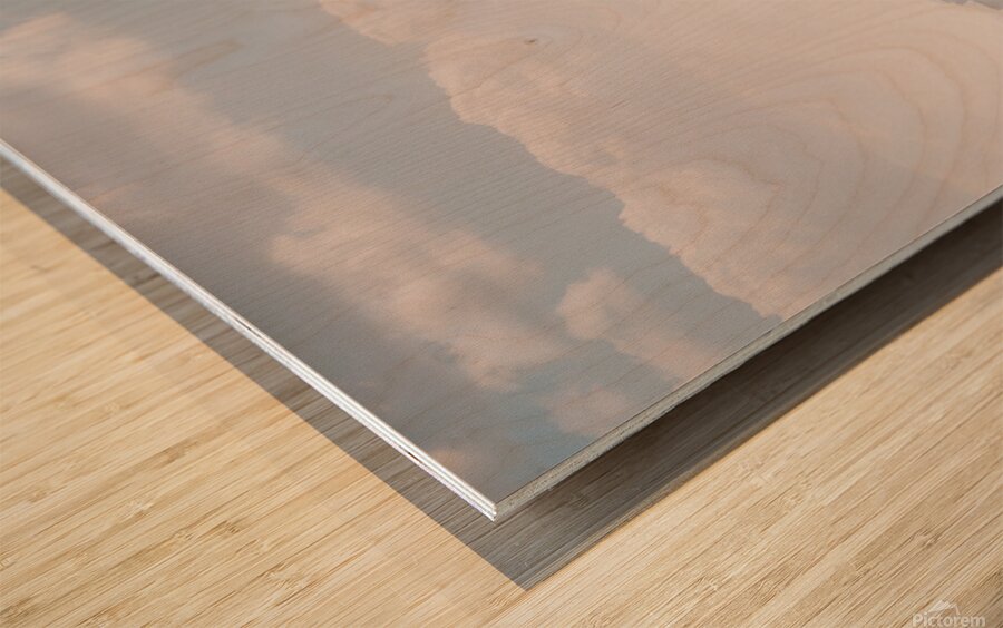 Seoul autumn scenery Wood print