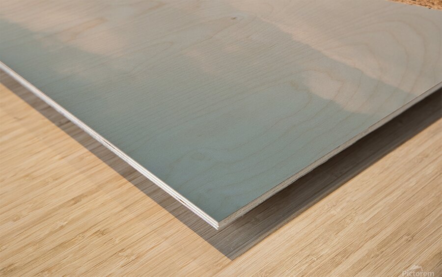 Horse on dry grass field Wood print