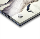 Taking off Acrylic print