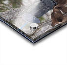 Good thing its empty Acrylic print