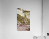IMG 0677 Acrylic Print