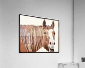 nothing but smiles Acrylic Print