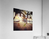 Belize Acrylic Print