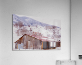 old barn Acrylic Print