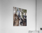 Good thing its empty Acrylic Print