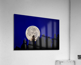 Full moon 2 Acrylic Print