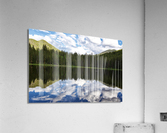 Reflection  Acrylic Print