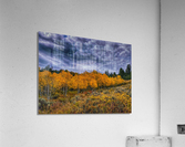 Dramatic fall colors Acrylic Print
