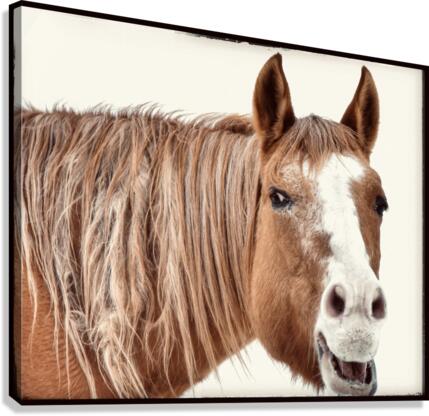 nothing but smiles Canvas Print