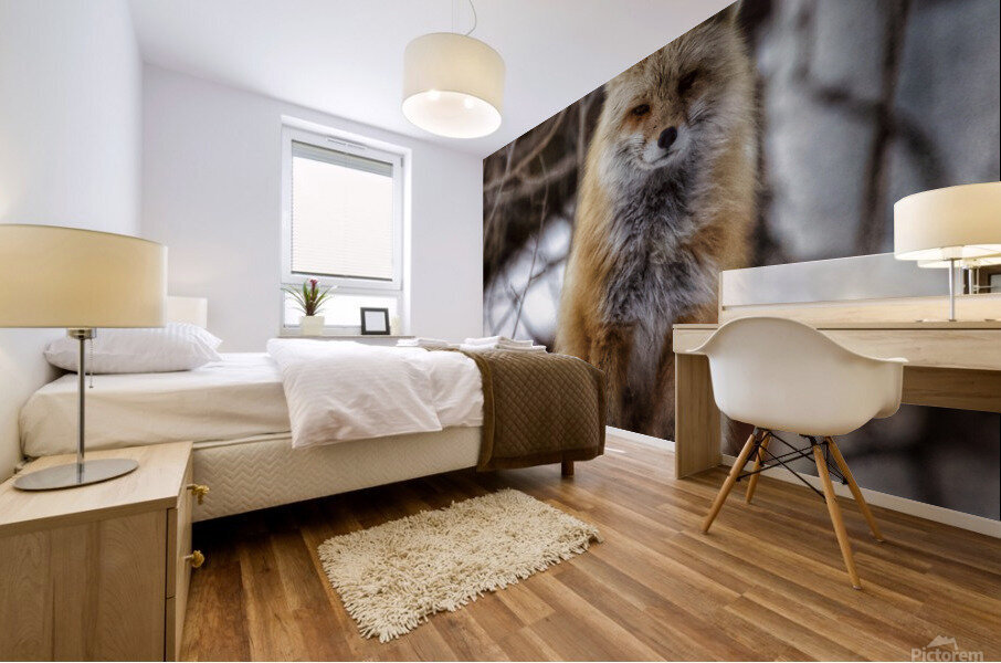 Sitting pretty Mural print