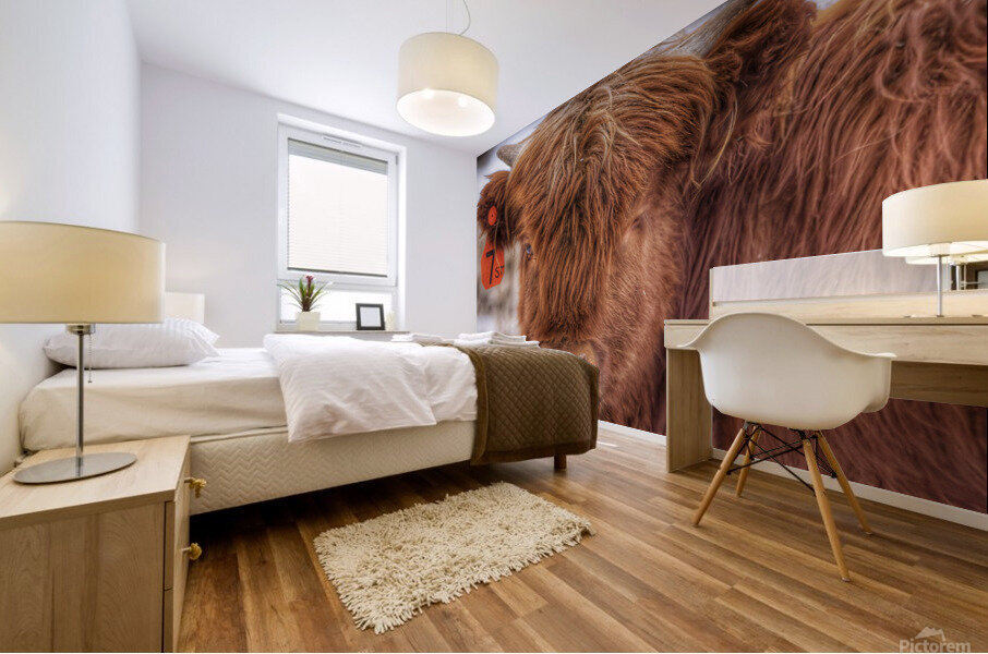 Cow Mural print