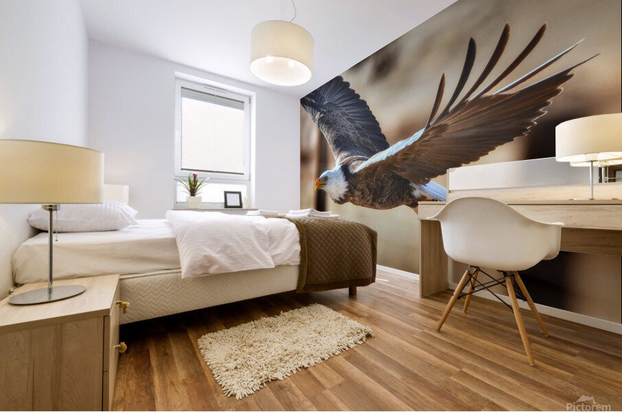 Flying eagle Mural print