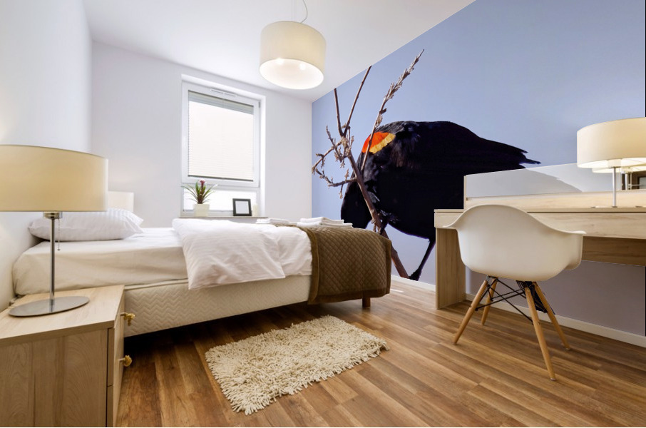 Red-winged blackbird Mural print