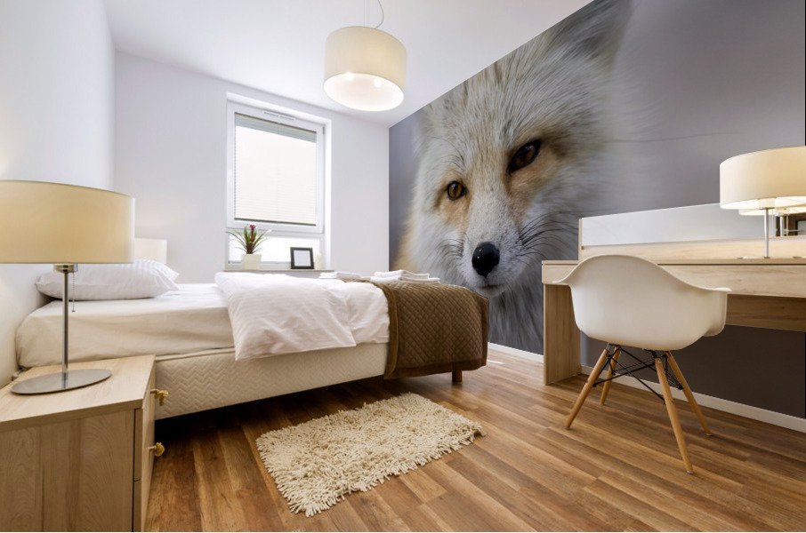 Red fox Mural print