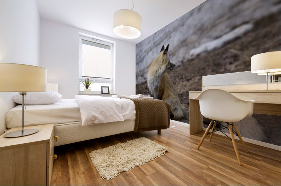 red fox full body Mural print