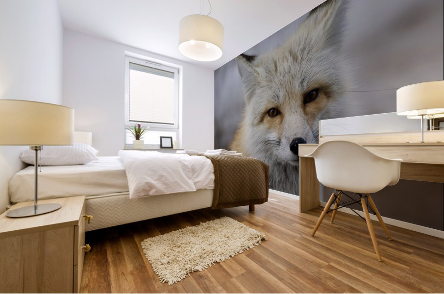 Red fox Mural print