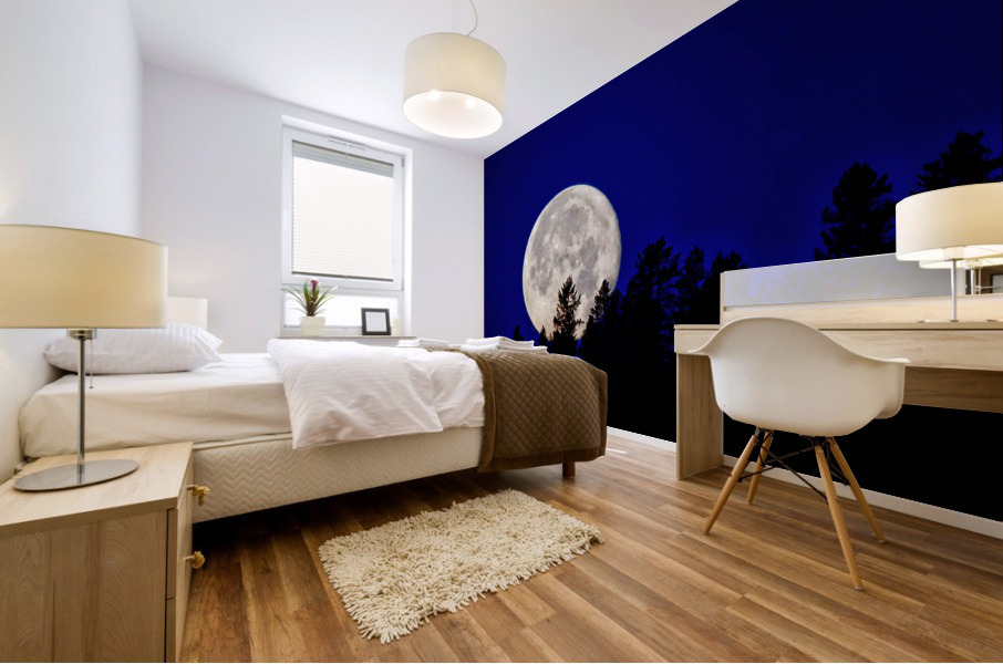Full moon 2 Mural print