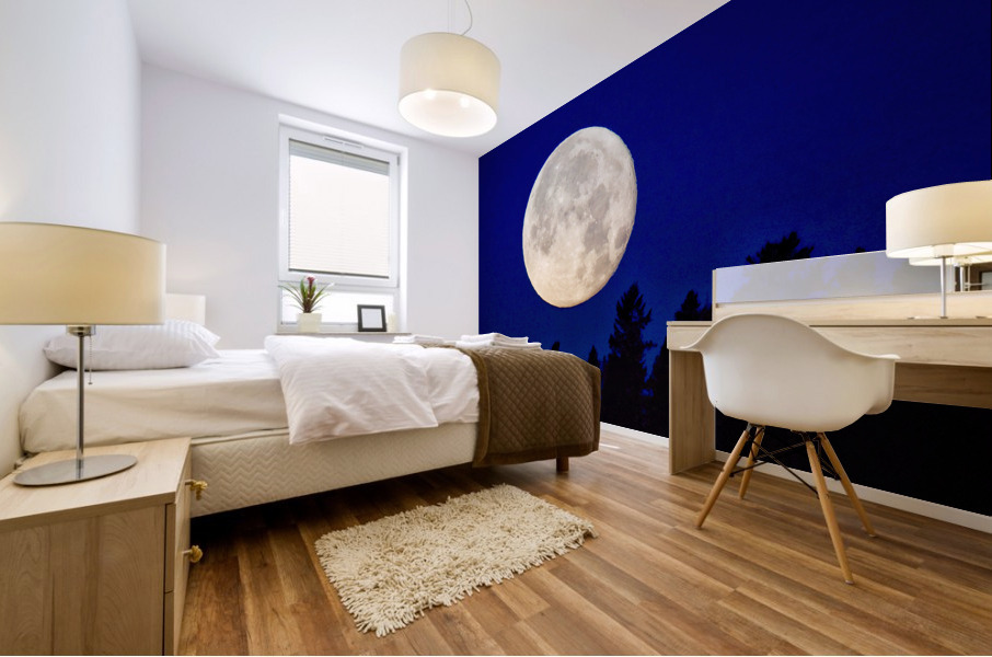 Full moon 1  Mural print