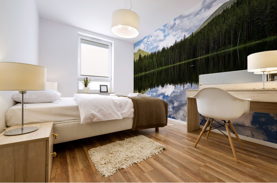 Reflection  Mural print