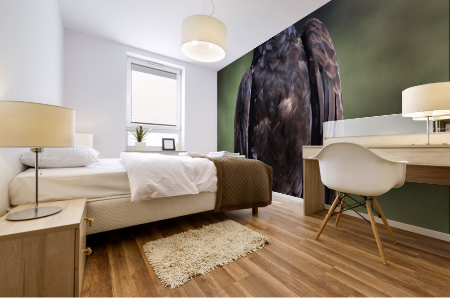 Turkey Vulture Mural print