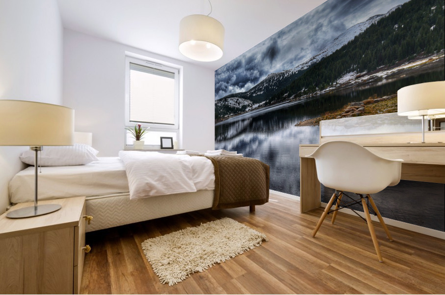 Ivanhoe Lake 2 Mural print