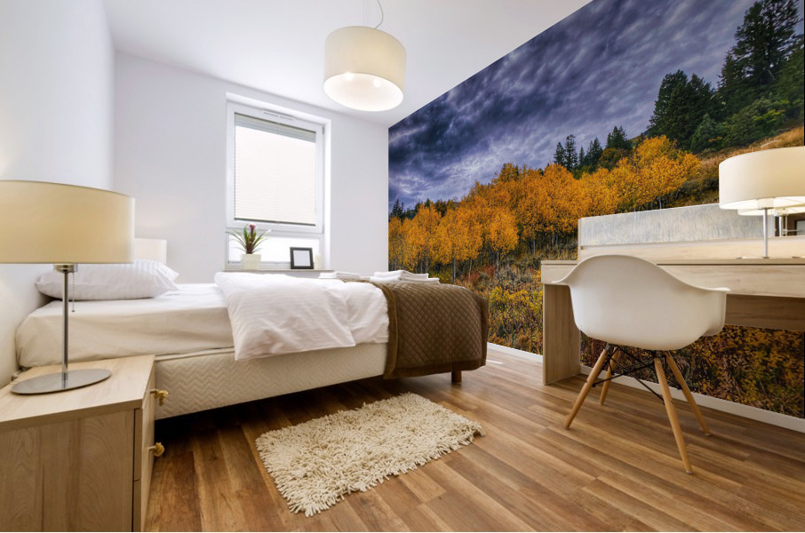 Dramatic fall colors Mural print
