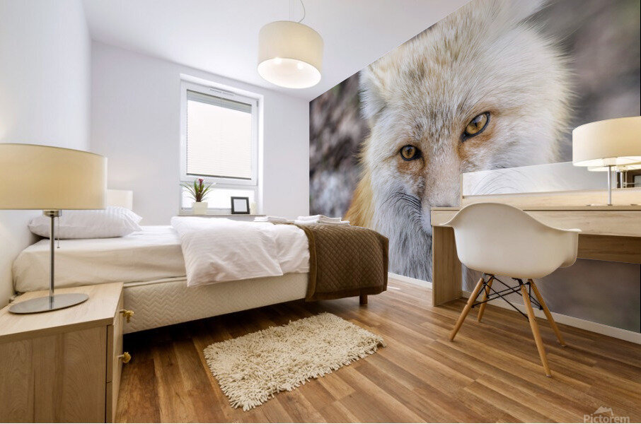 Vixen up close Mural print