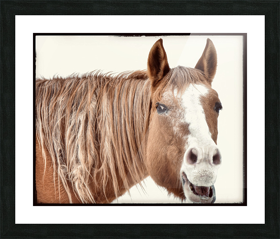 nothing but smiles Picture Frame print
