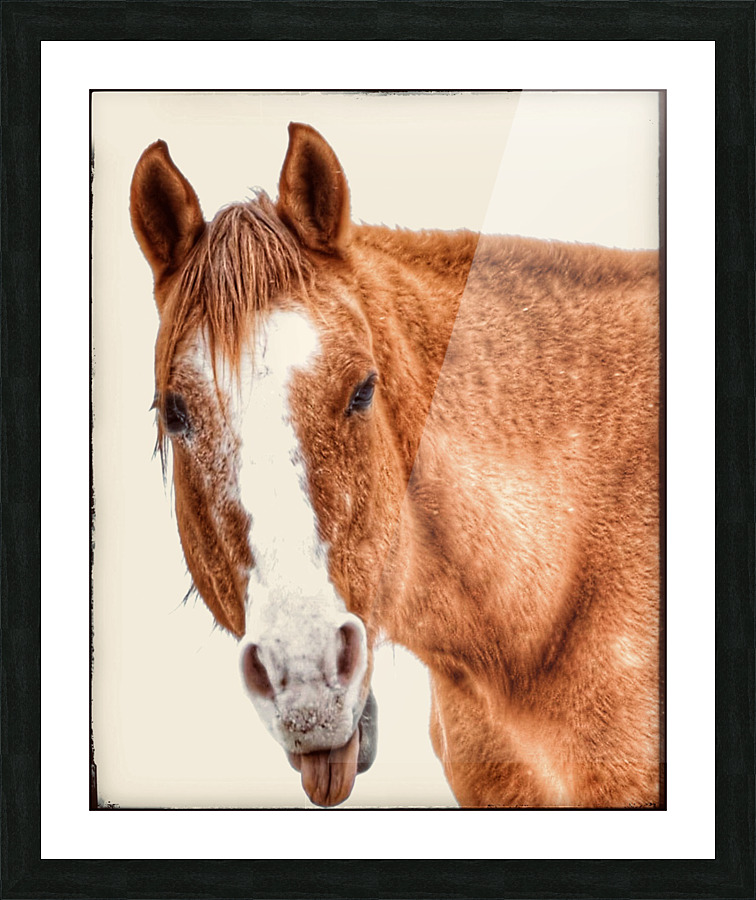 Caught in the act Picture Frame print