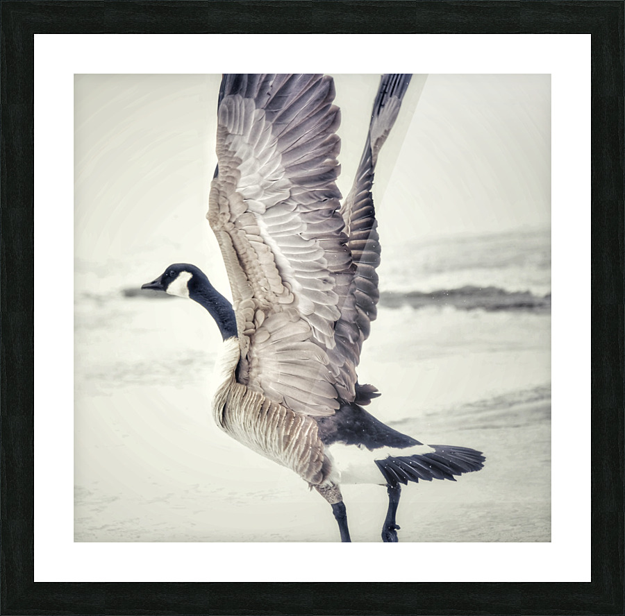Taking off Picture Frame print