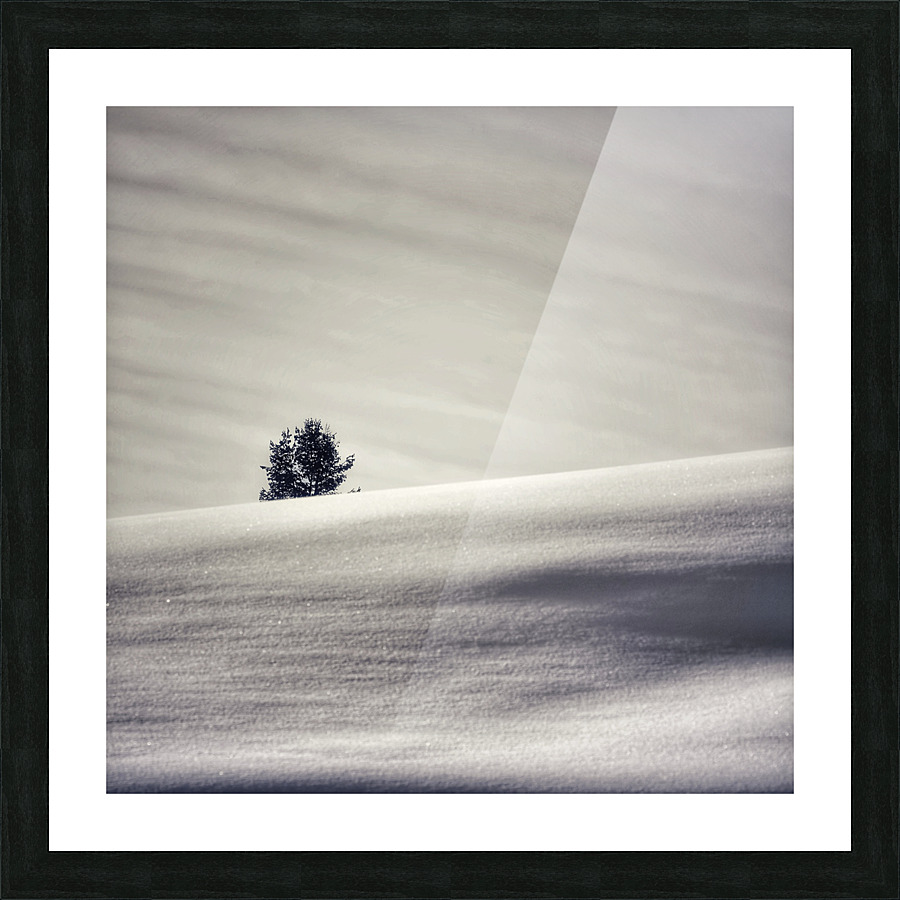 Lone tree Picture Frame print
