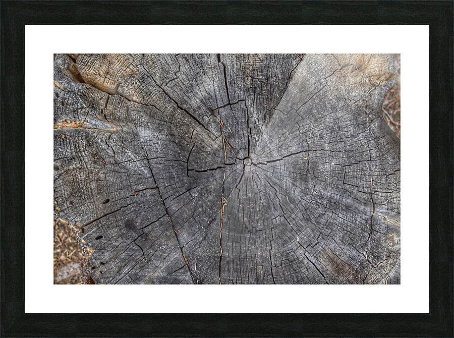 Simple and uncomplicated Picture Frame print