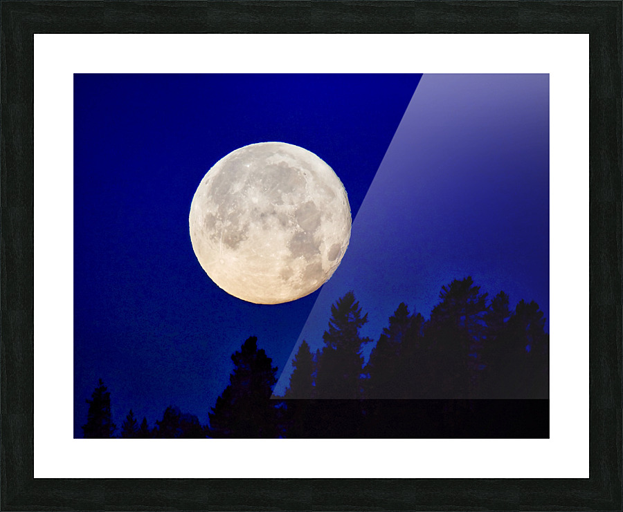 Full moon 1  Picture Frame print