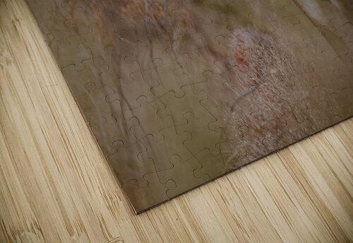DSC 5023 JenMas puzzle