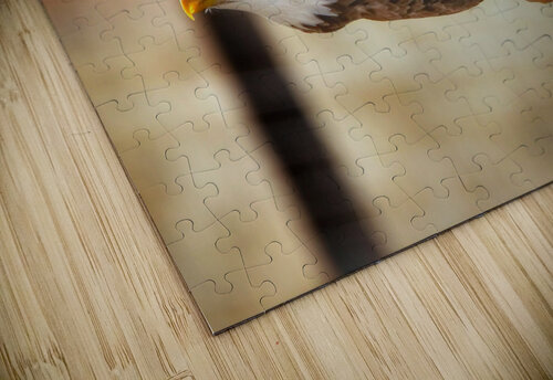 Flying eagle JenMas puzzle