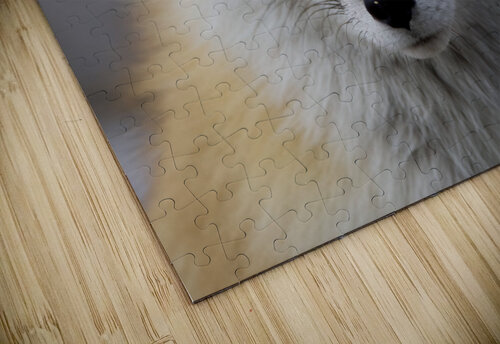 Red fox JenMas puzzle