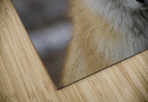 Red fox JenMas puzzle