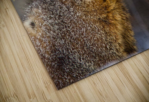 Marmot JenMas puzzle