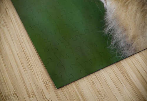 Always posing JenMas puzzle